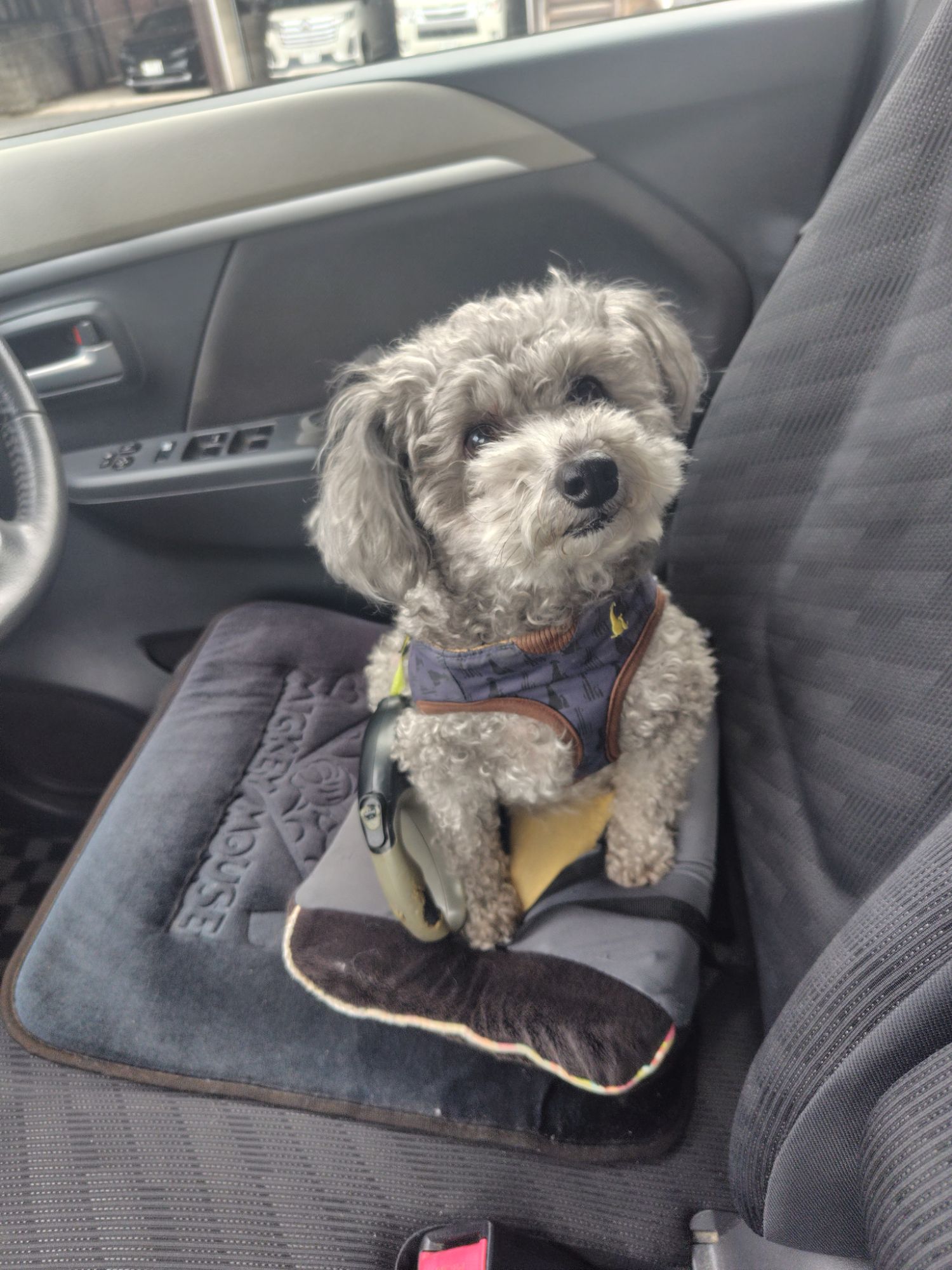 2503021632146907426645575784838166